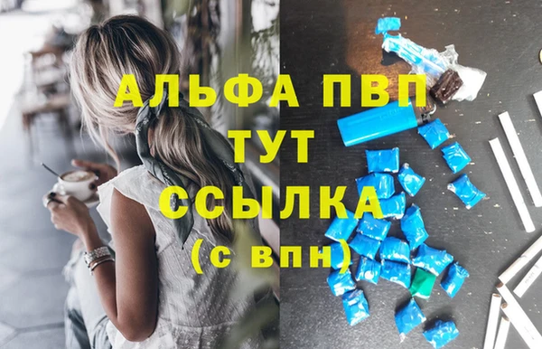 apvp Арсеньев