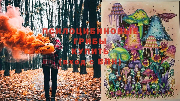 мяу мяу мука Армянск