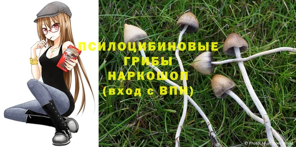 мяу мяу мука Армянск