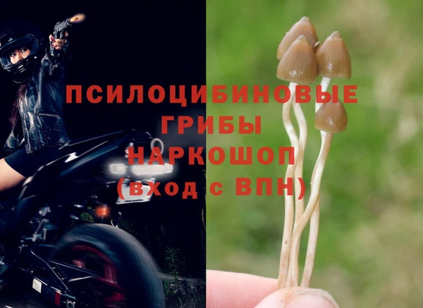 apvp Арсеньев